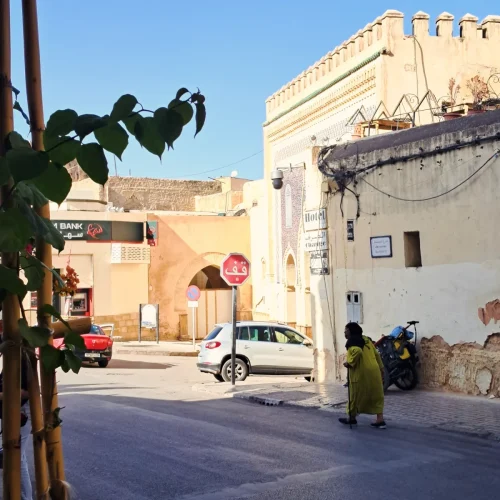 IMG_20251116_170339_013